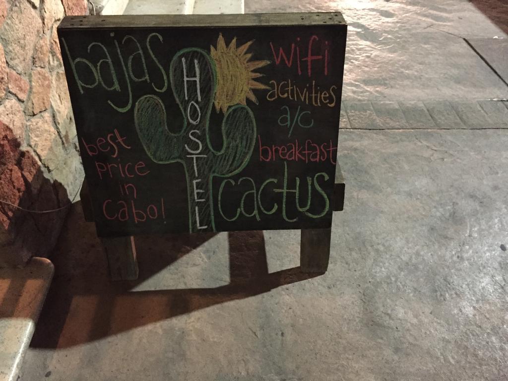 Hostel Bajas Cactus