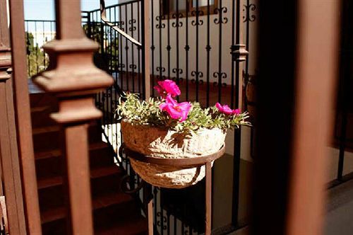 Cabo Cush Hotel Cabo San Lucas