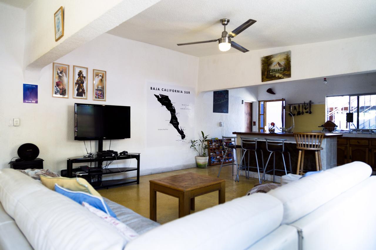 Hostel Ocean Tigers Dive House
