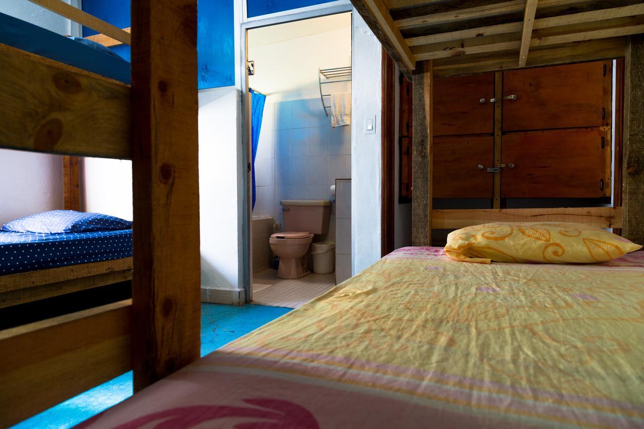 Ocean Tigers Dive House