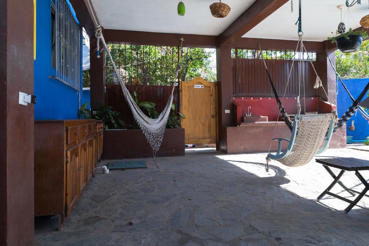 Ocean Tigers Dive House * Cabo San Lucas