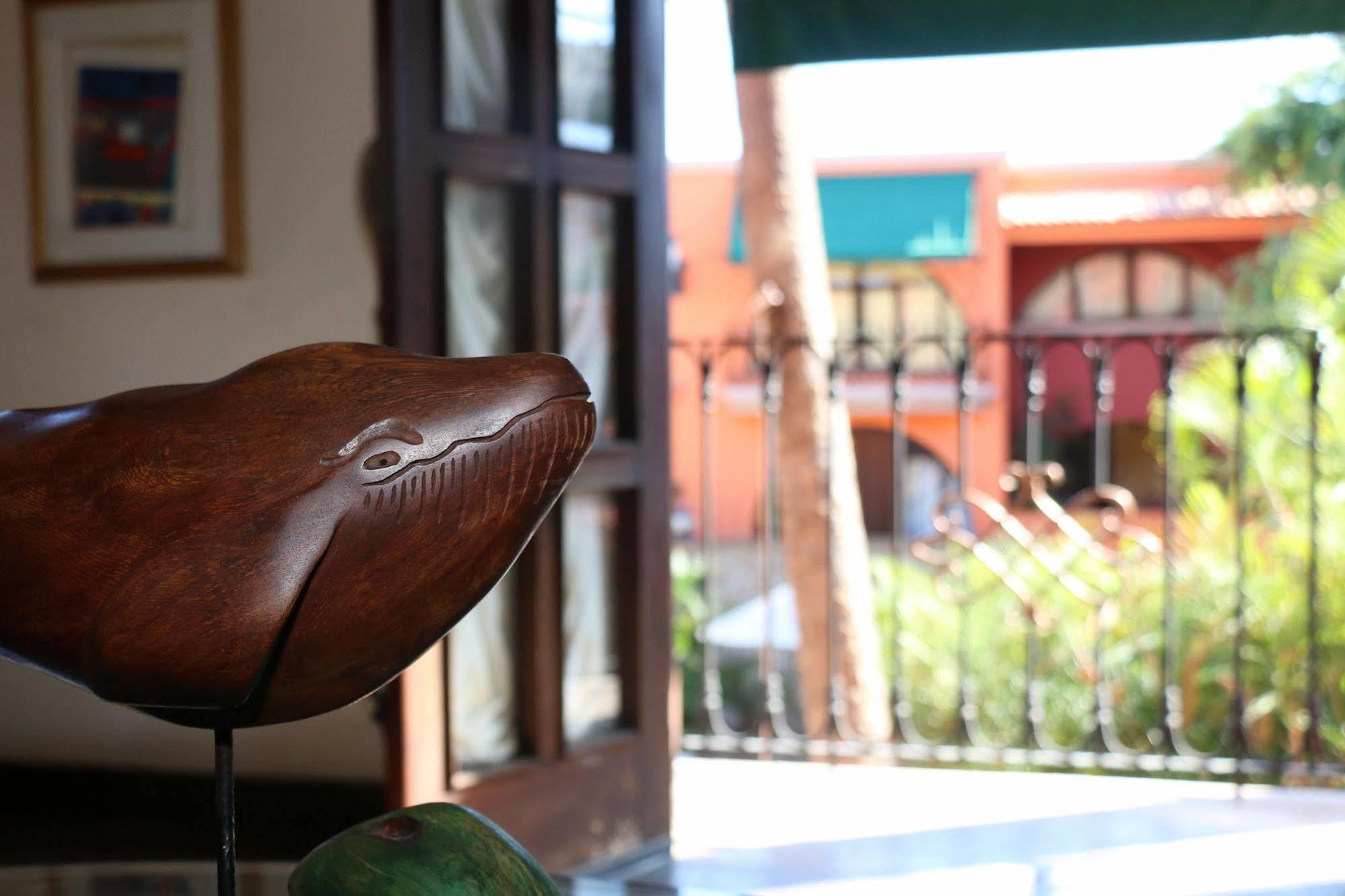 Collection O Casa Bella Boutique, 5* Cabo San Lucas