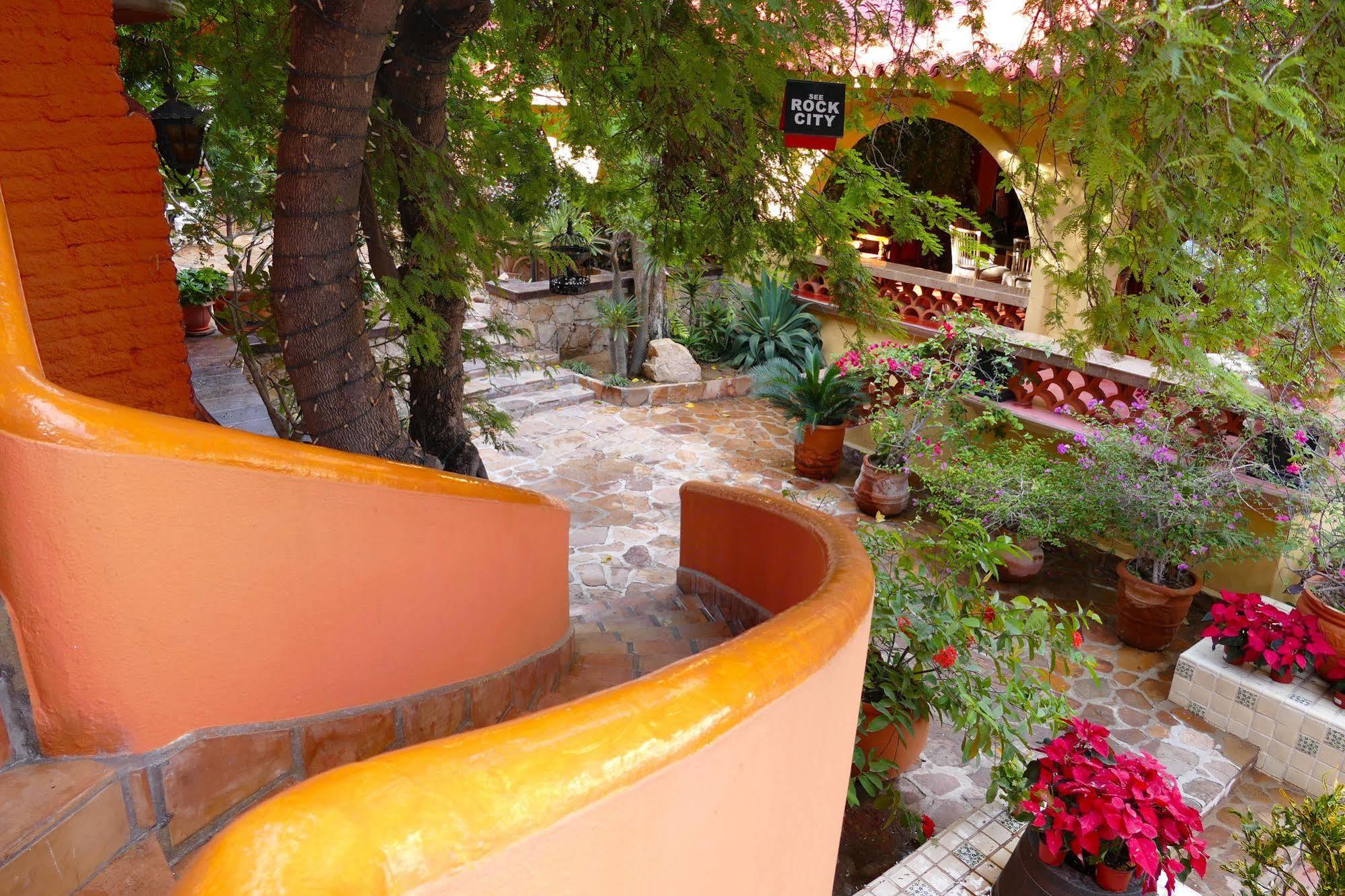 Collection O Casa Bella Boutique, Cabo San Lucas
