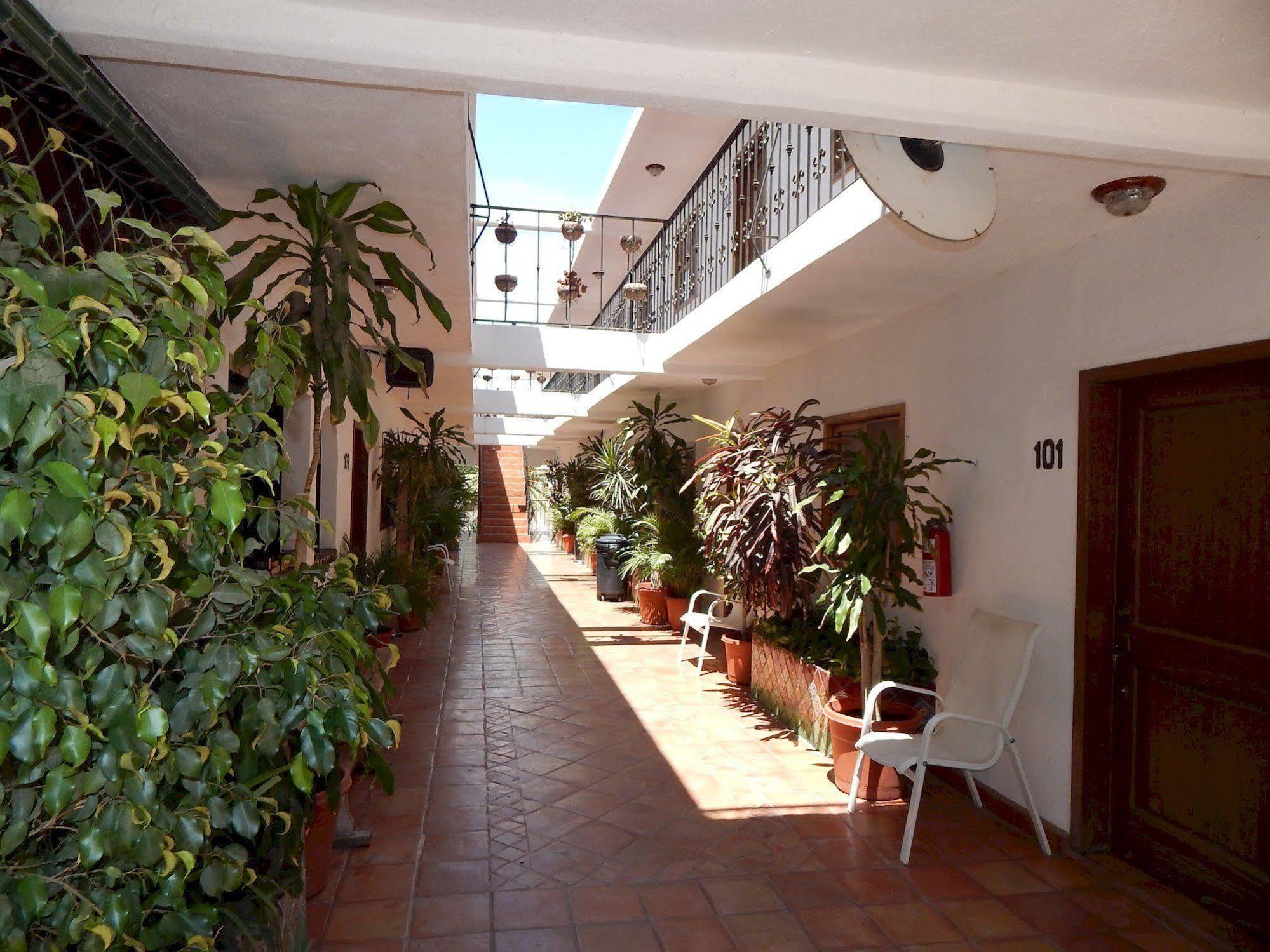 Hotel Cabo Cush Cabo San Lucas