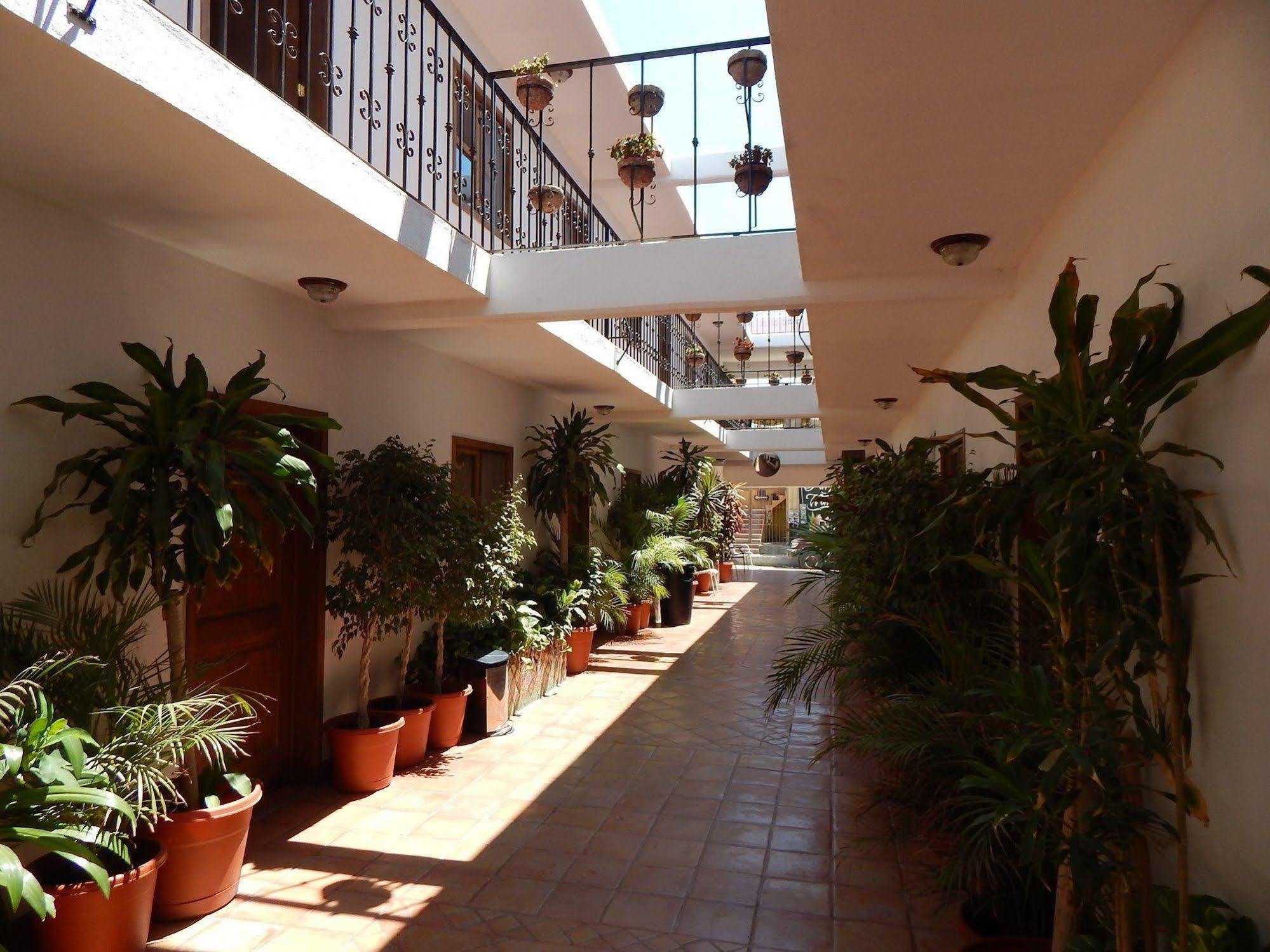 Cabo Cush Hotel