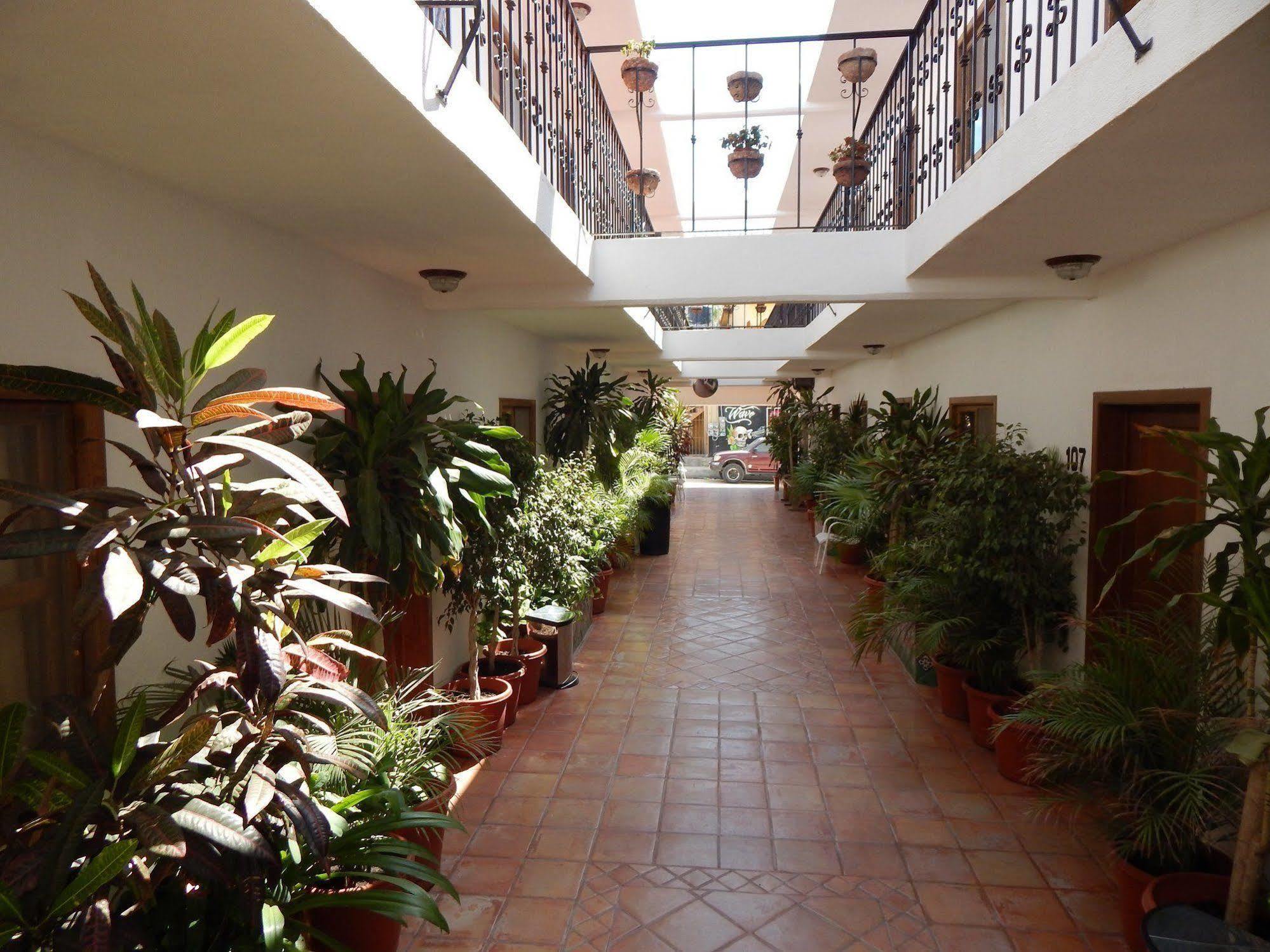 Cabo Cush
