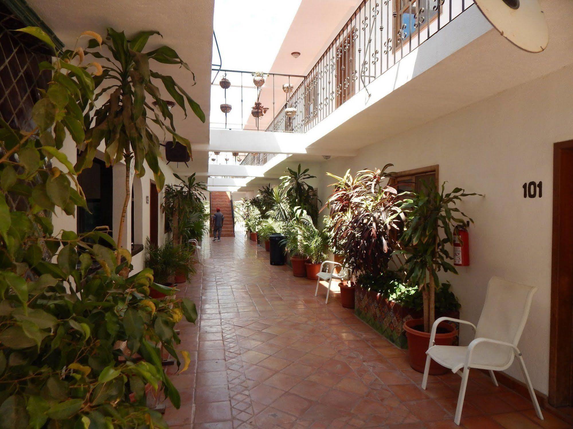 Hotel Cabo Cush Cabo San Lucas