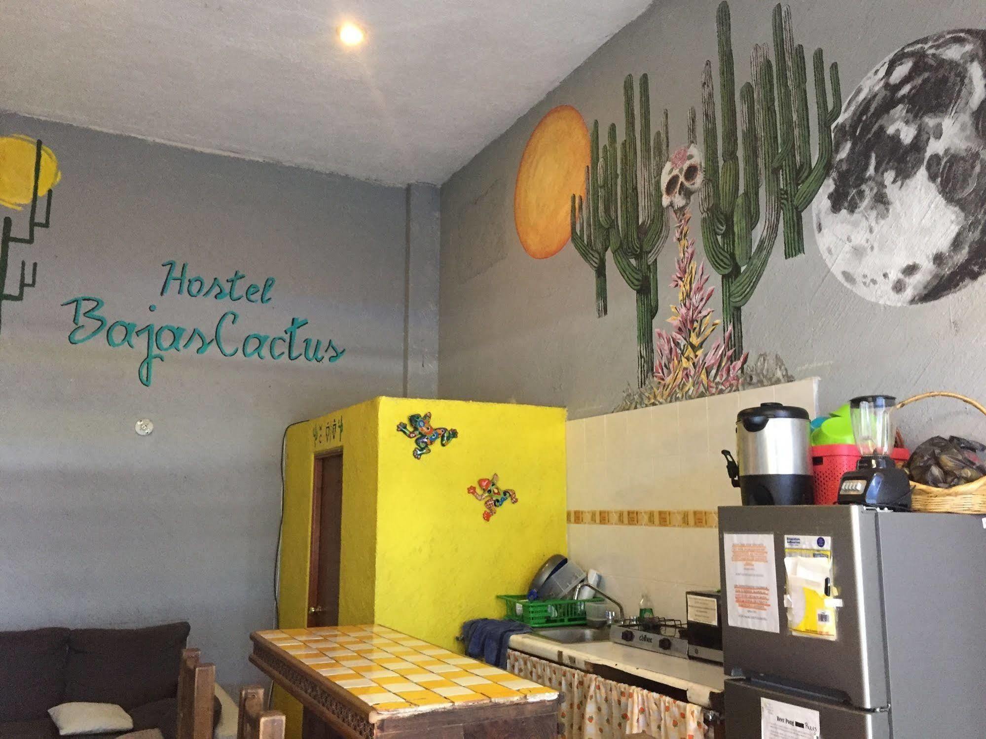 Bajas Cactus * Cabo San Lucas