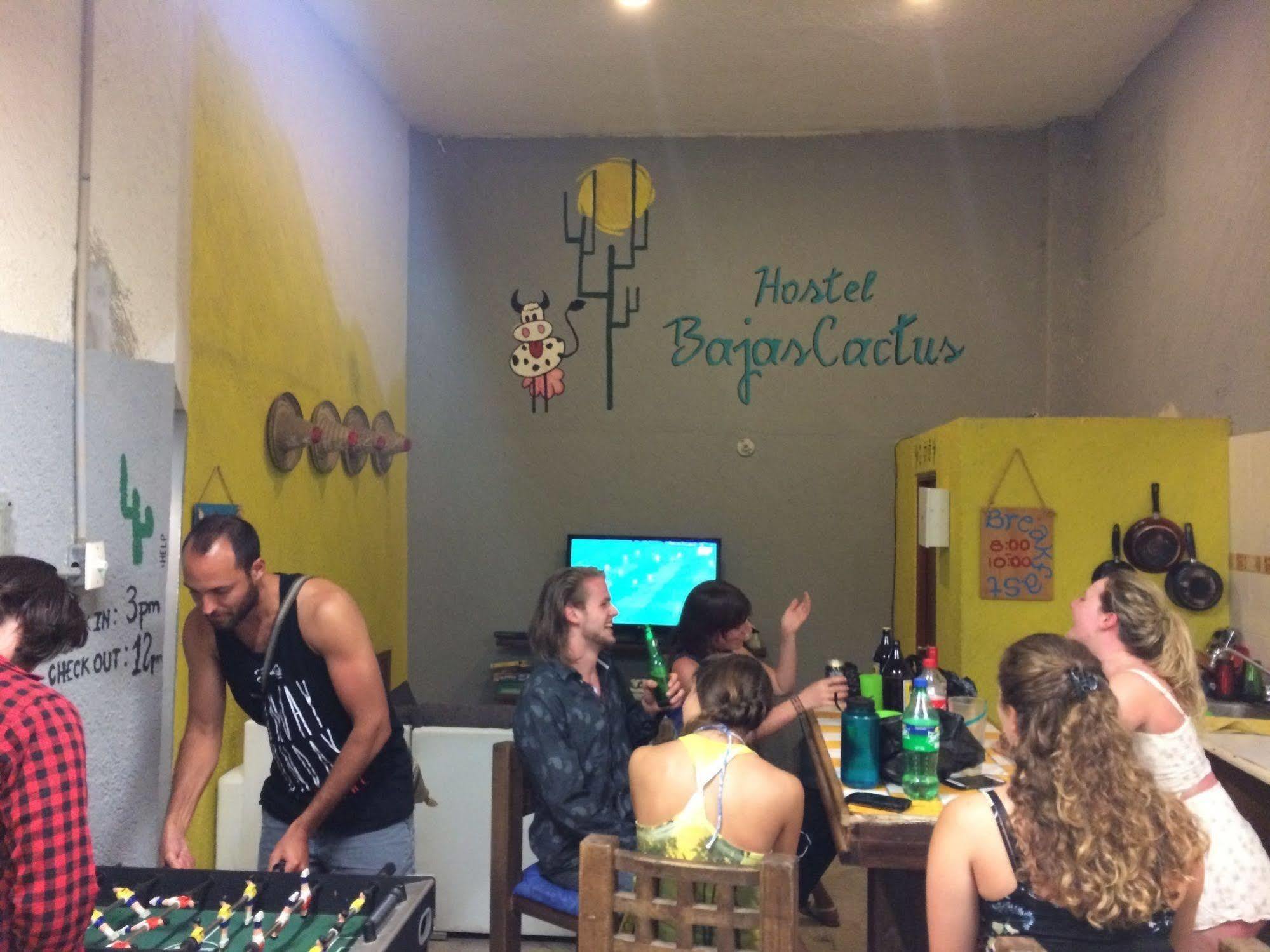 Bajas Cactus *