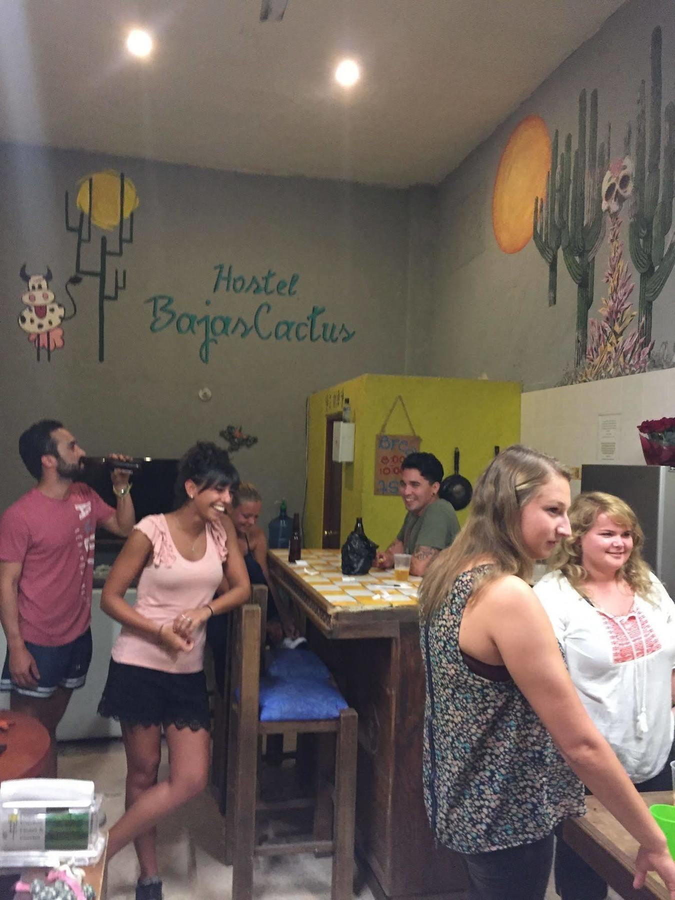 Bajas Cactus Hostel Cabo San Lucas