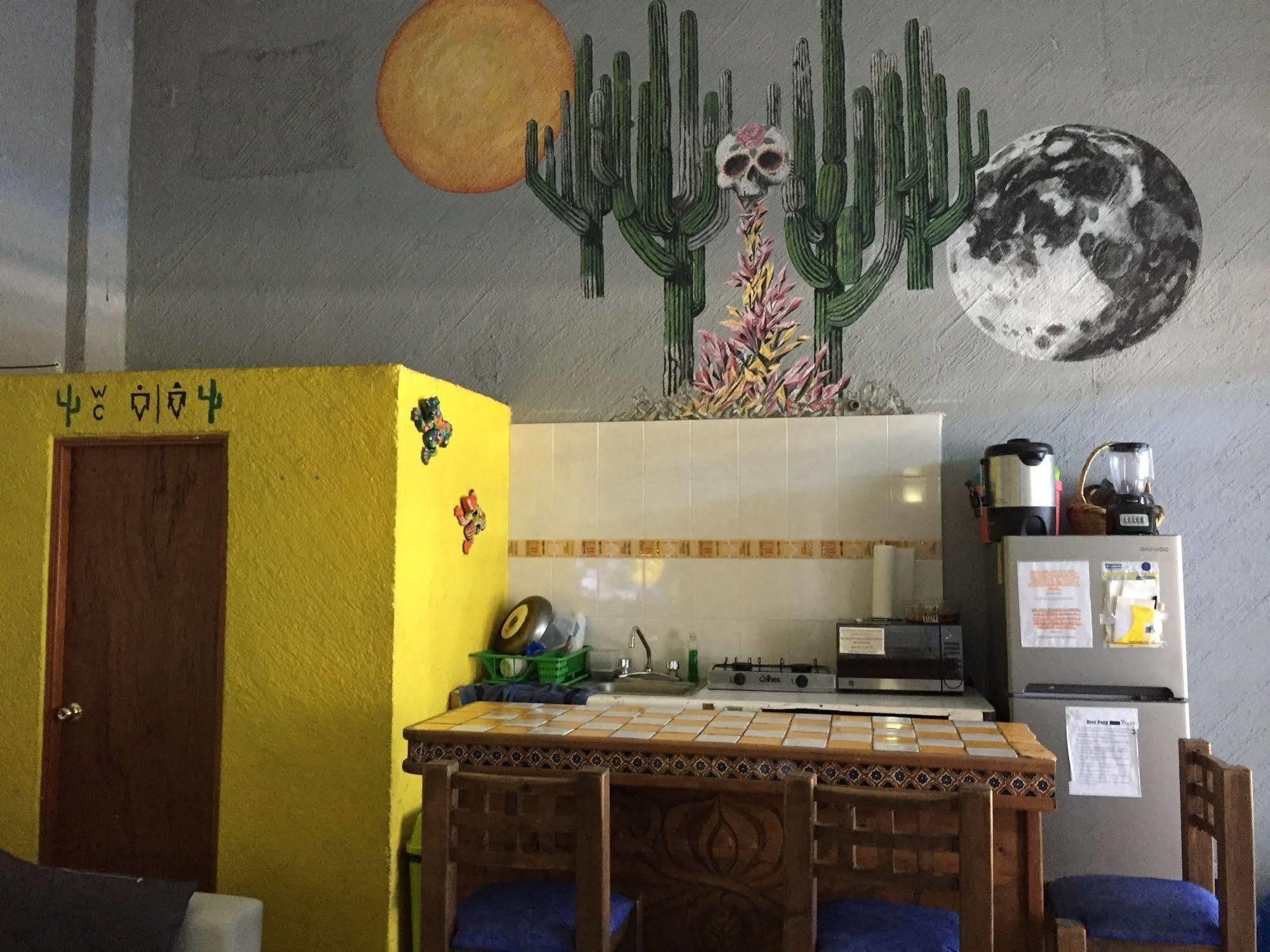 Hostel Bajas Cactus