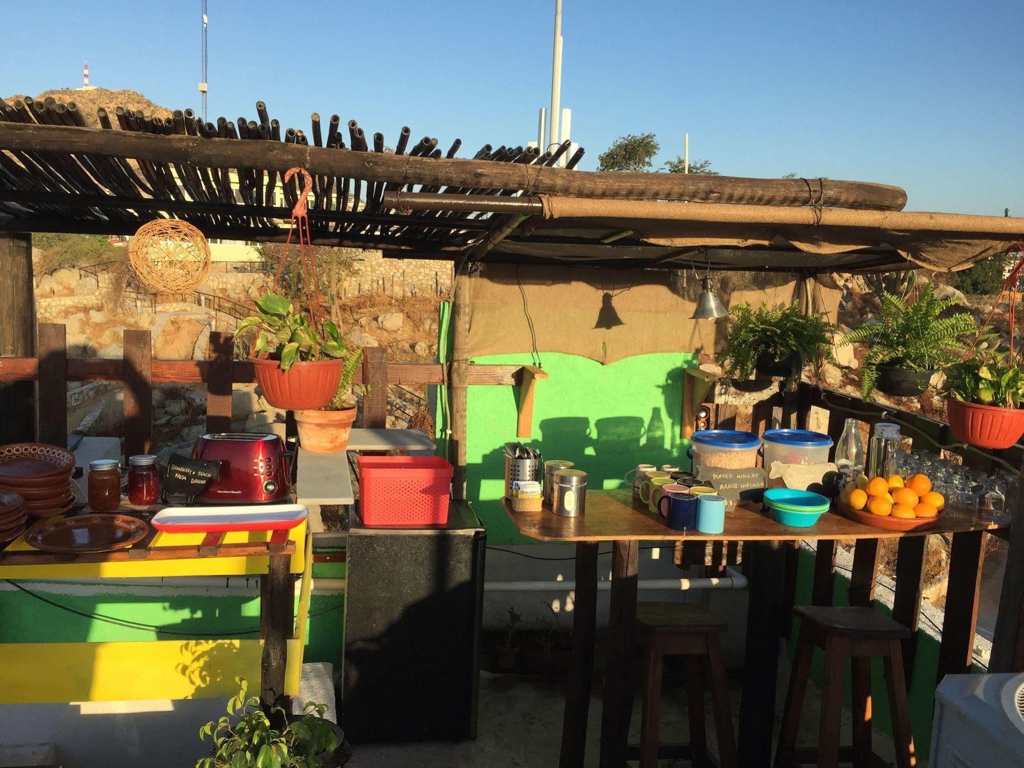 Hostel Bajas Cactus