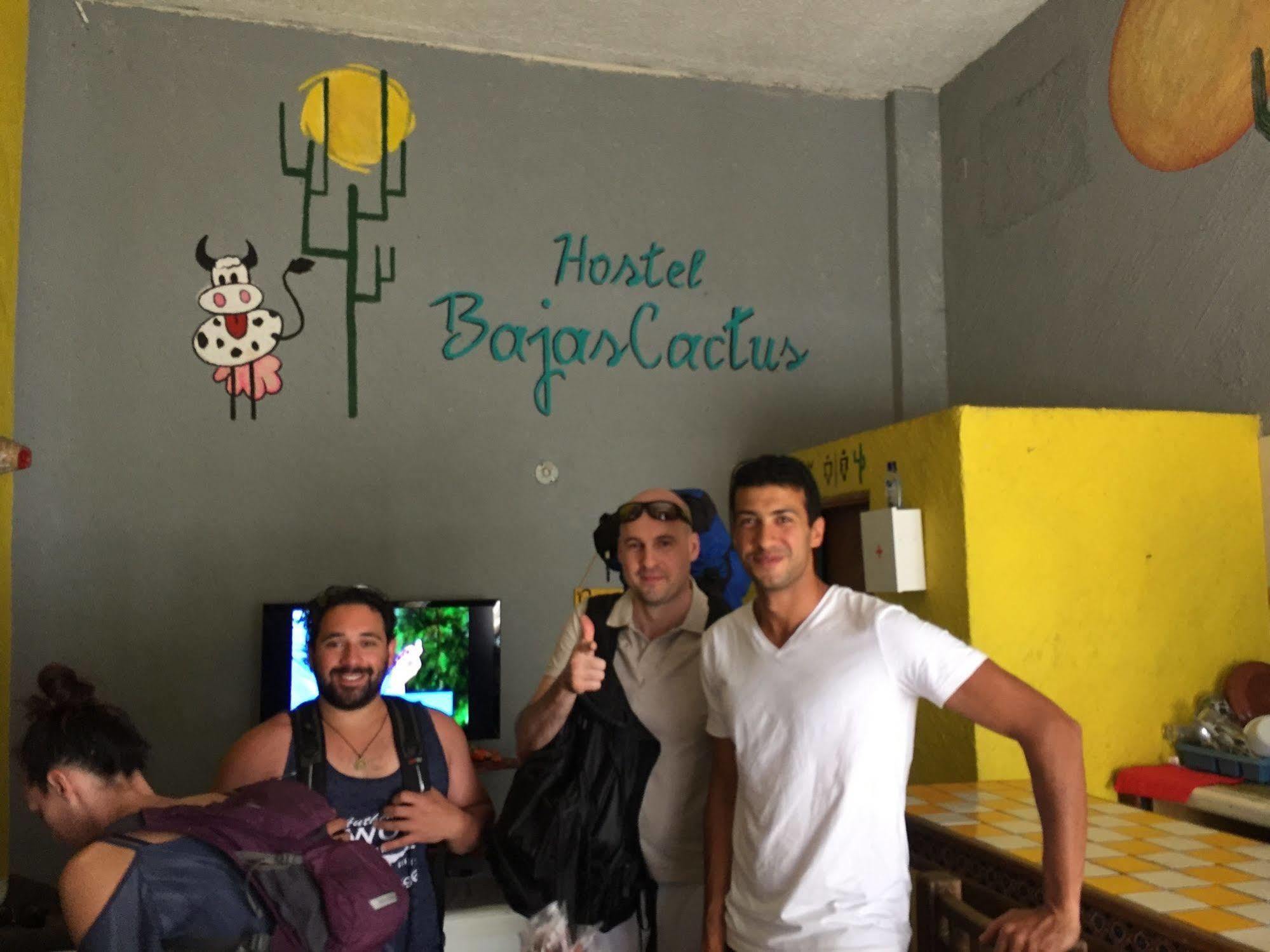 Hostel Bajas Cactus