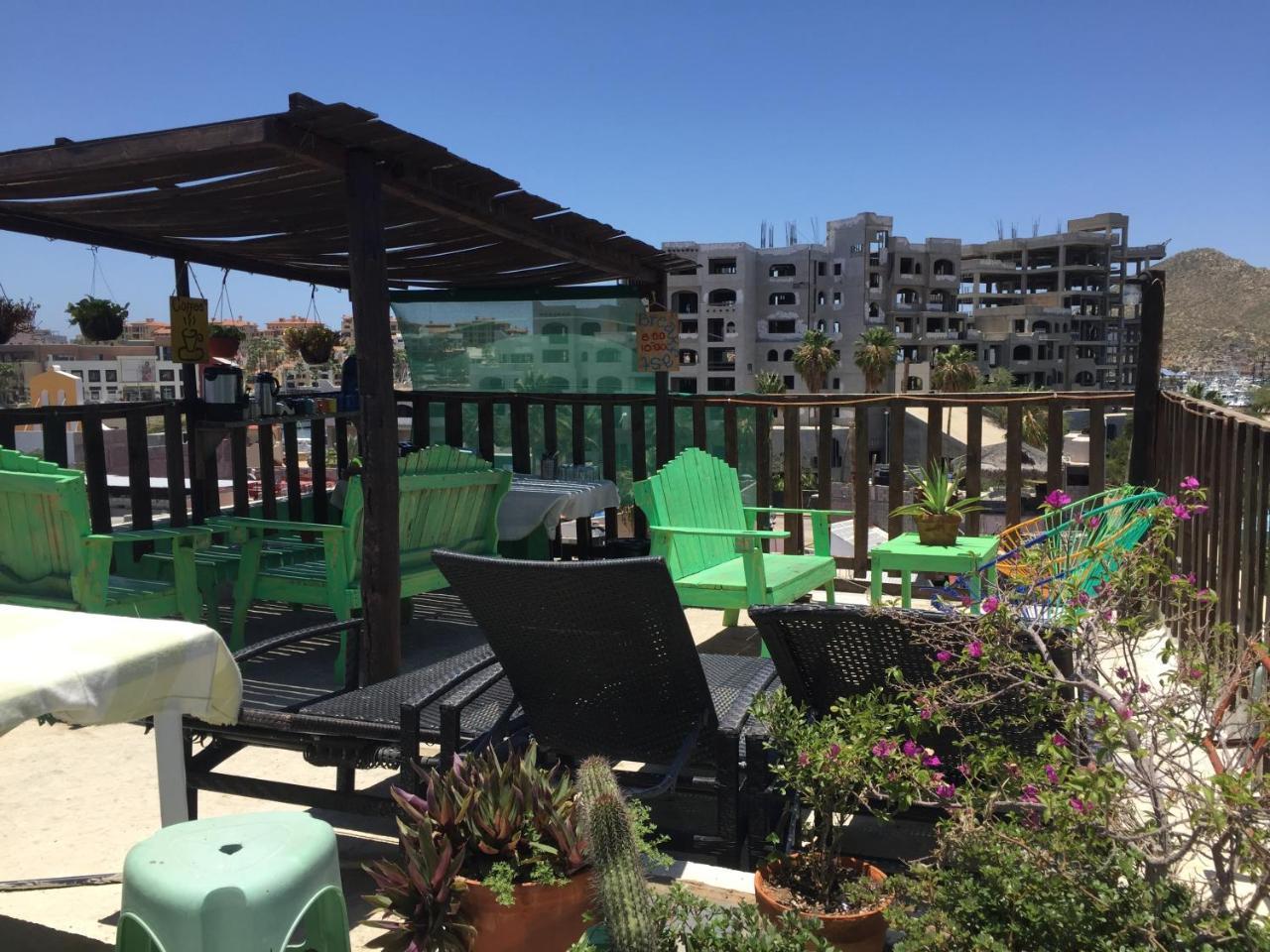 Bajas Cactus Hostel