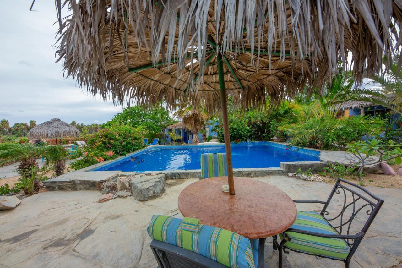 Baja Beach Oasis *