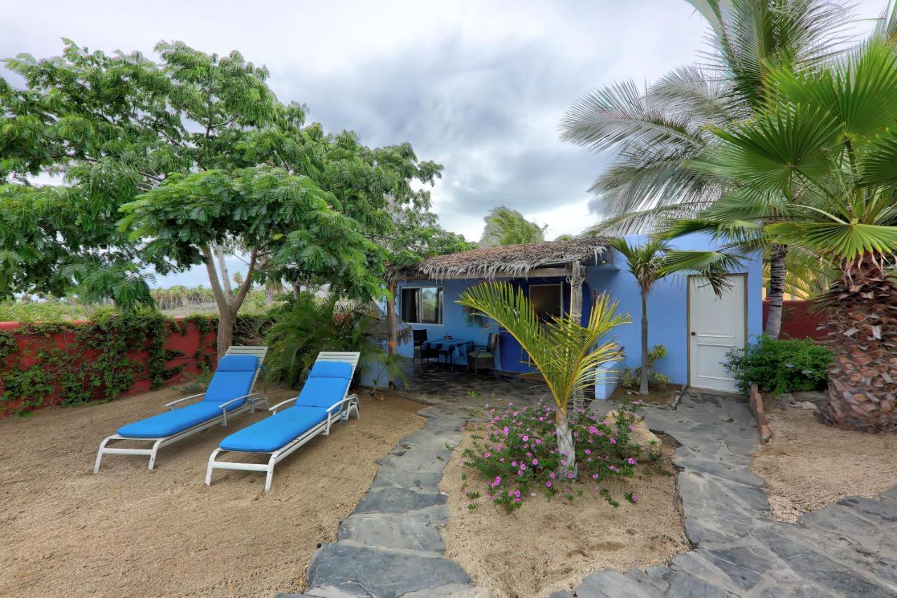Baja Beach Oasis
