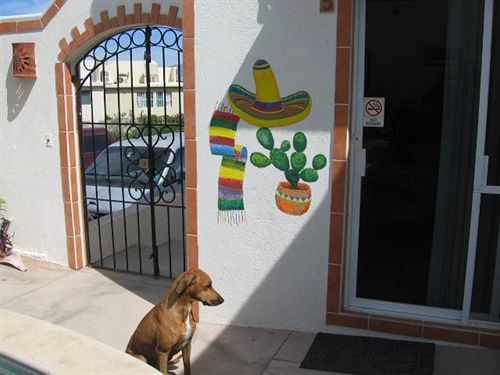 Cabo's Little Secret Two Bedroom *