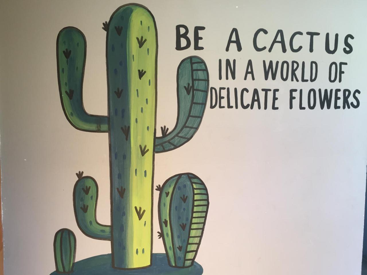 Bajas Cactus Hostel *