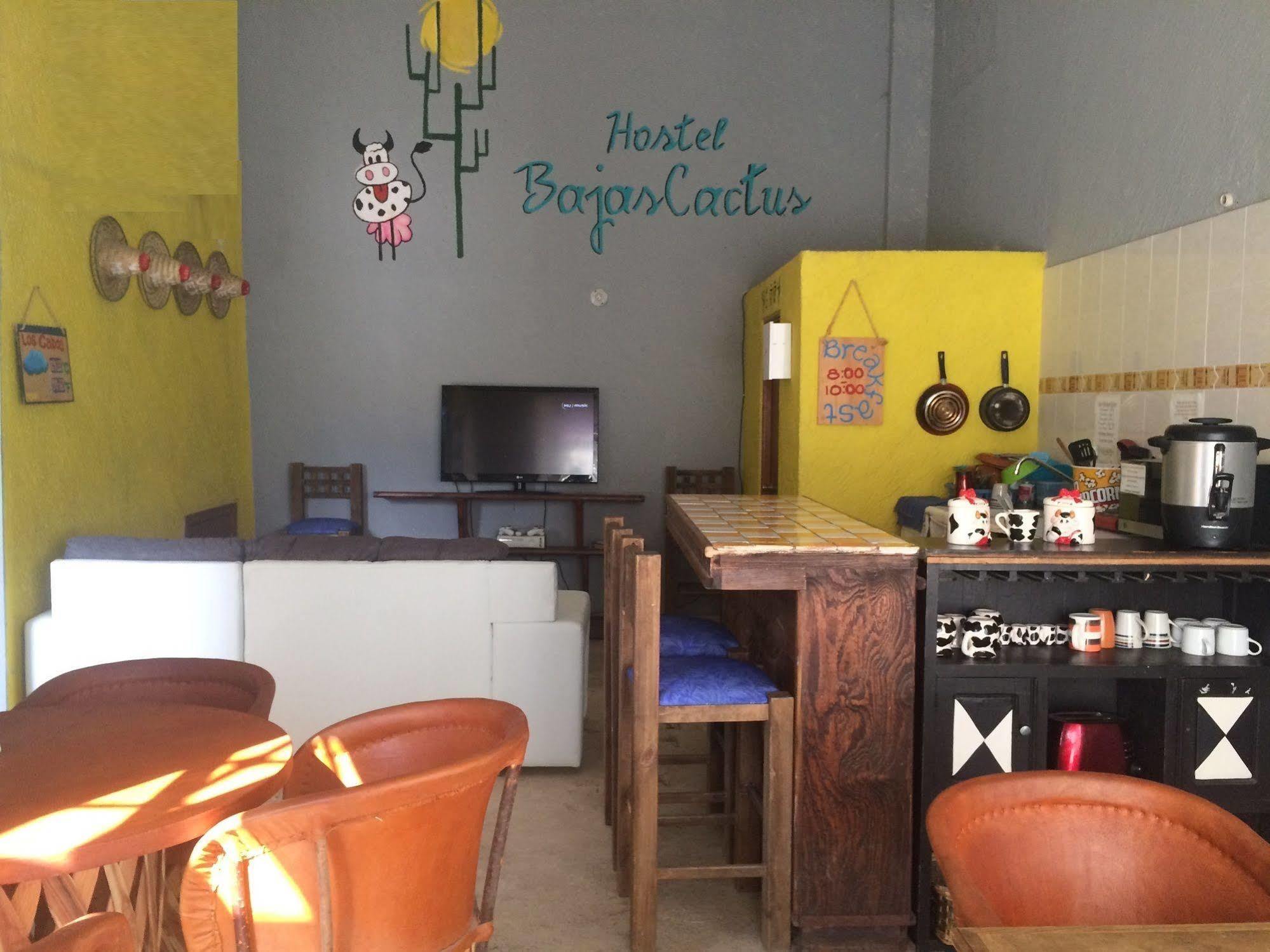 Hostel Bajas Cactus Cabo San Lucas
