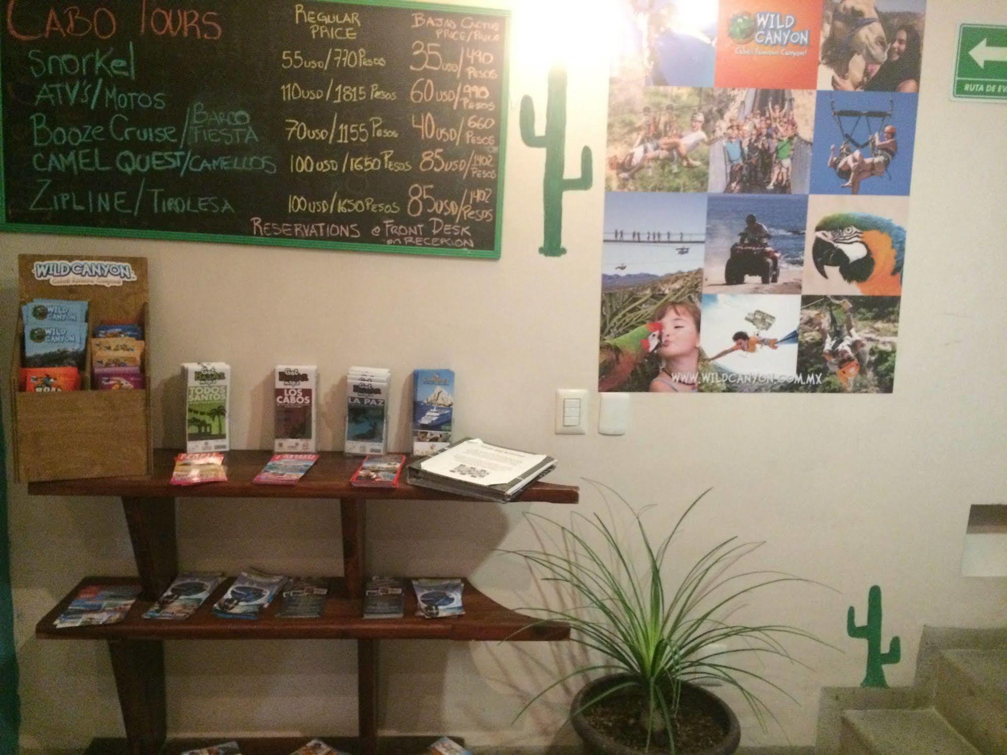 Bajas Cactus *