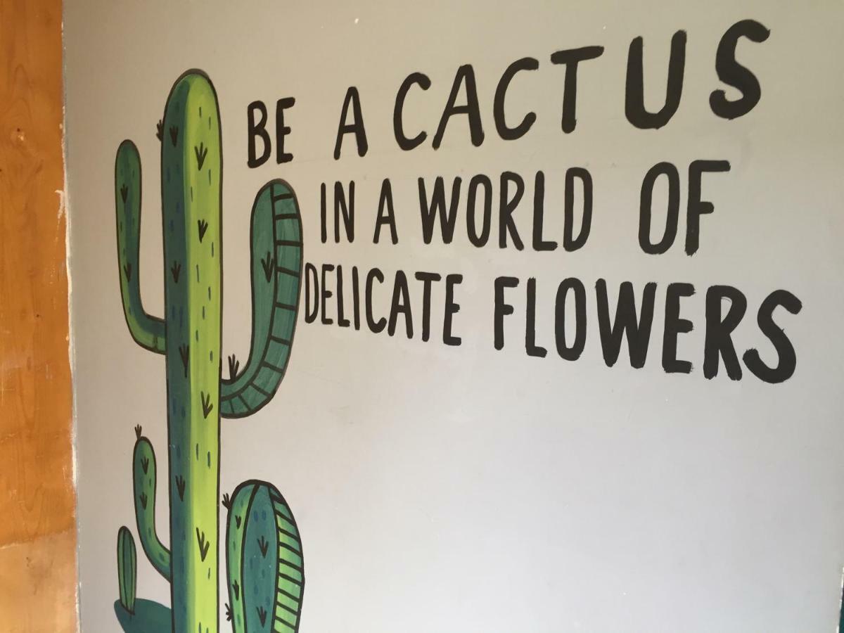 Bajas Cactus Cabo San Lucas