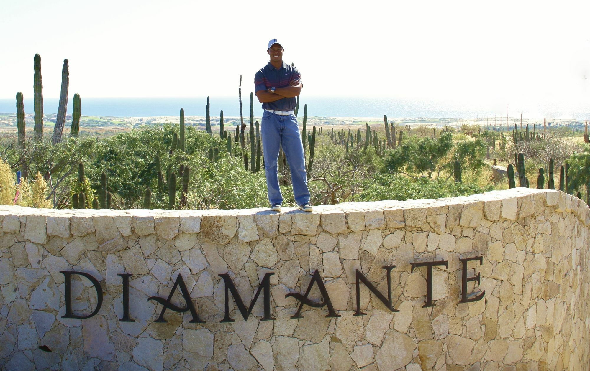 Hotel Diamante Cabo San Lucas