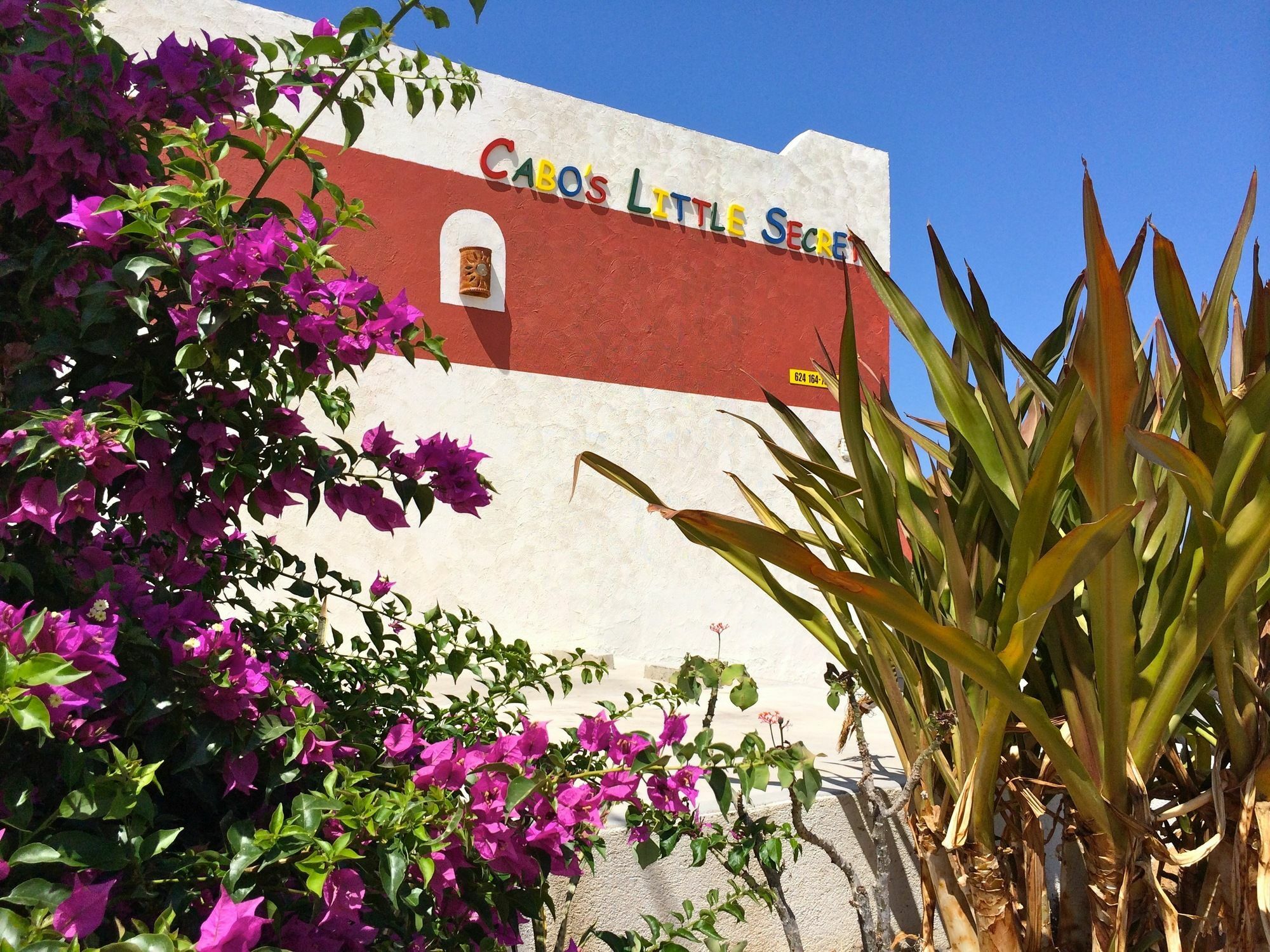 Apartment Cabo's Little Secret Two Bedroom