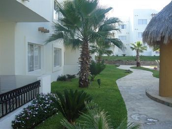 Dorada Cabo San Lucas