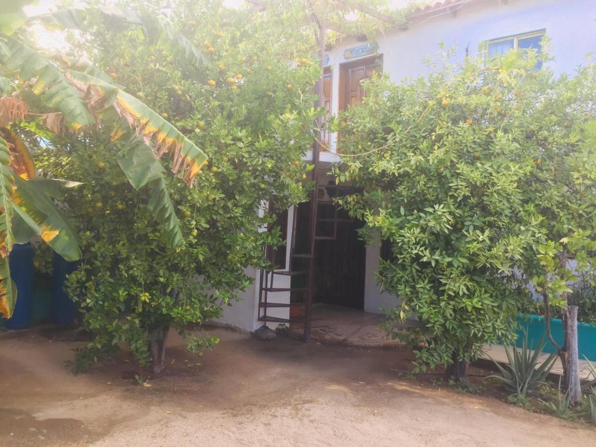 Apartamento *
