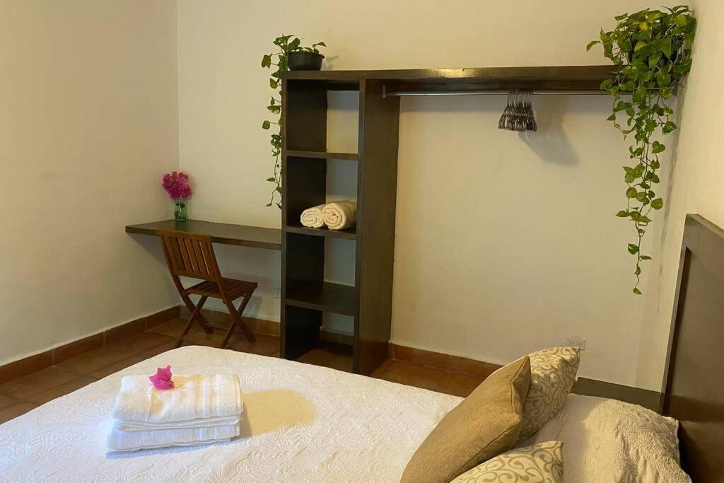 Holiday home Casa Greg Beautiful 2 Bedroom House Adults Only Cabo San Lucas