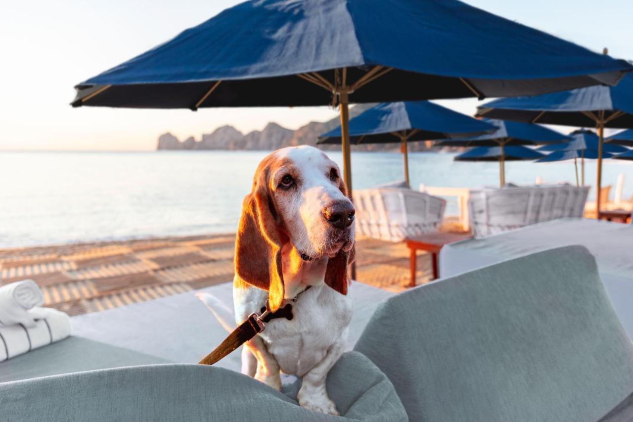 Hotel Corazón Cabo, A Noble House 4*