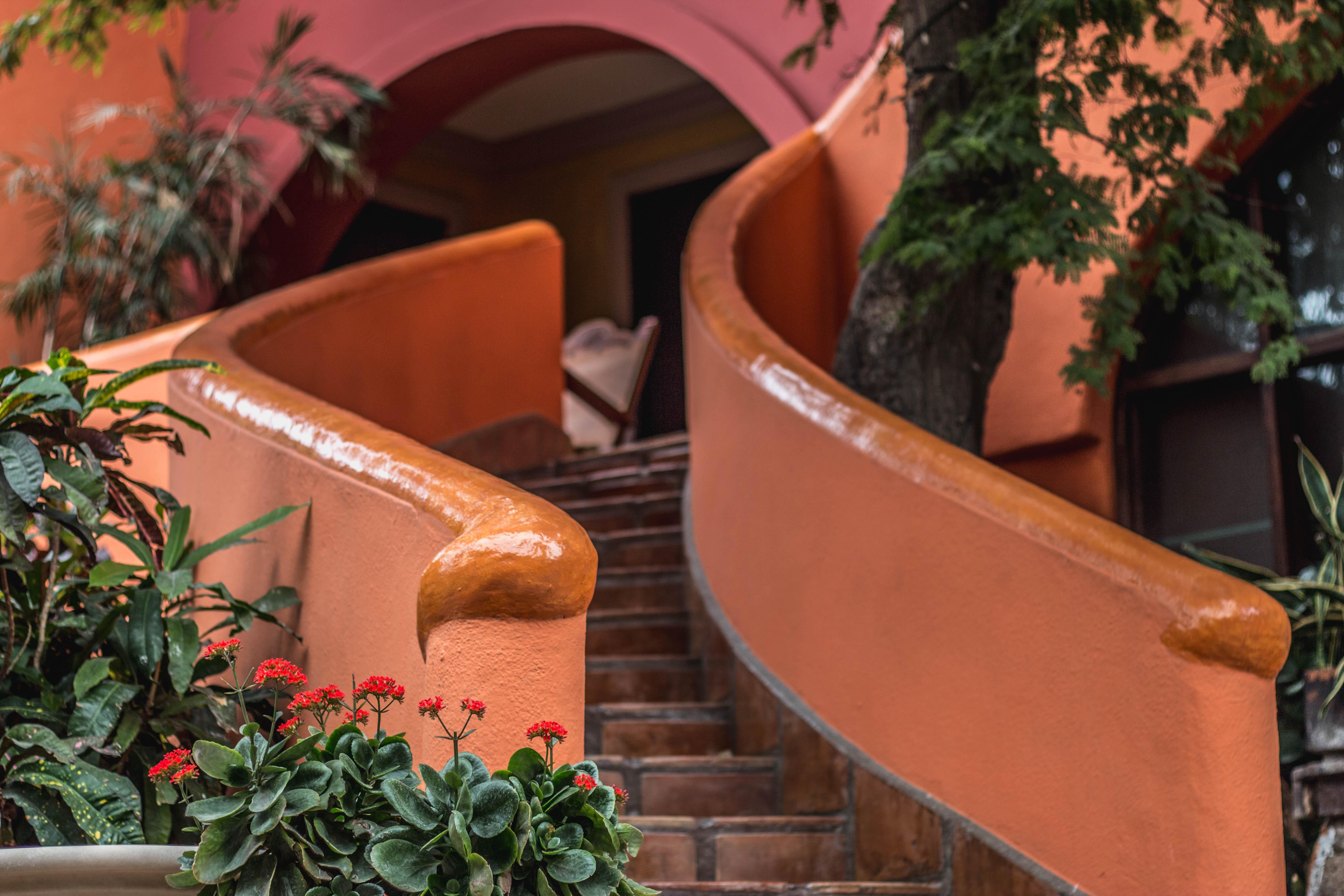 Collection O Casa Bella Boutique, 5* Cabo San Lucas