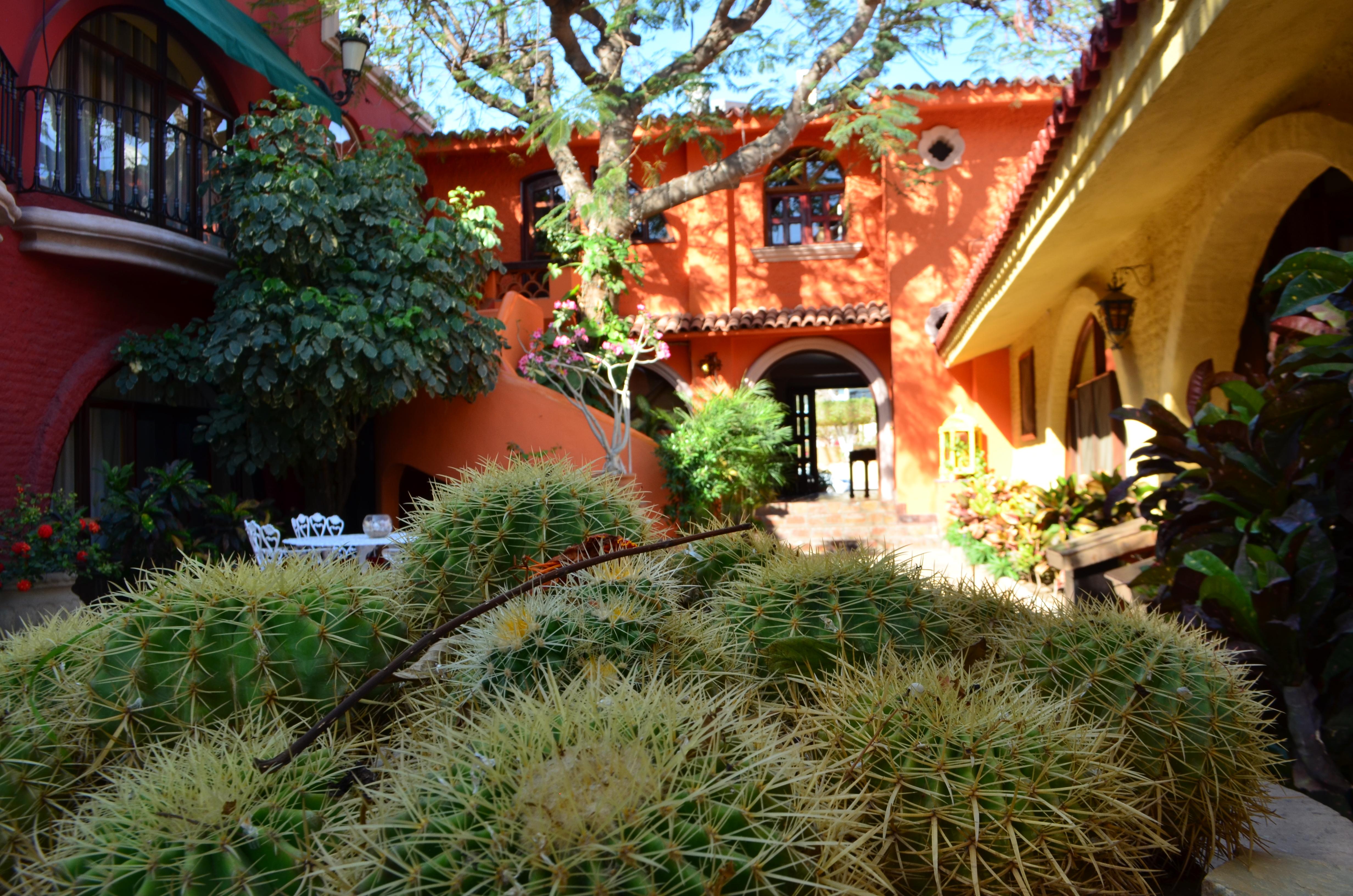 Collection O Casa Bella Boutique, 5* Cabo San Lucas