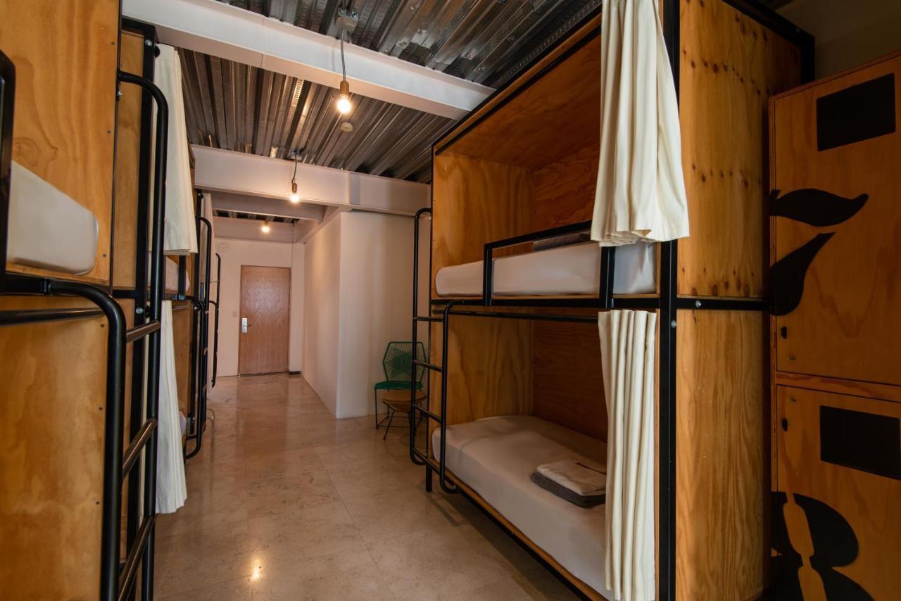 Hotel Mayan Monkey Cabos - Social (adults Only)