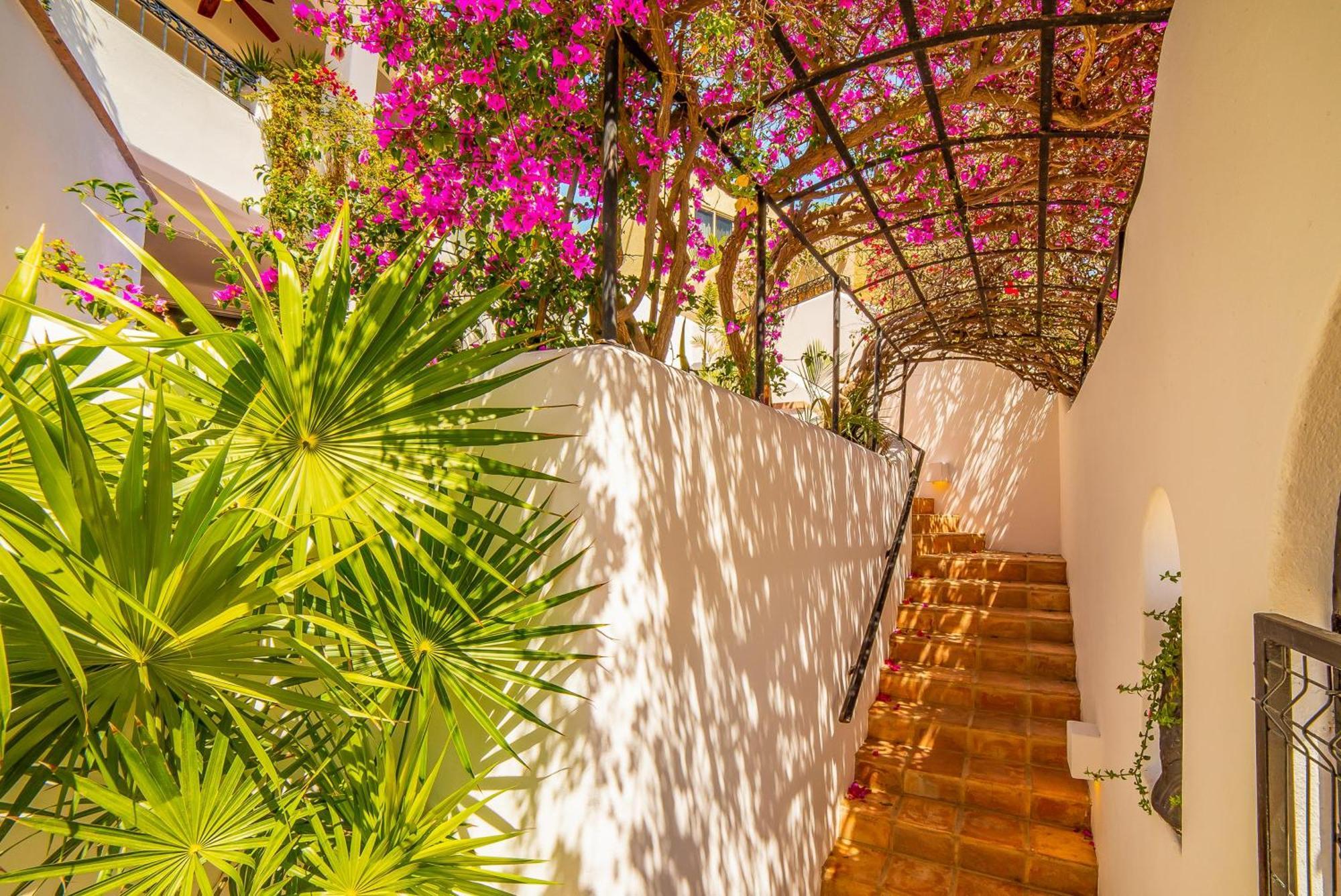 Villa Colorado By Cabo *
