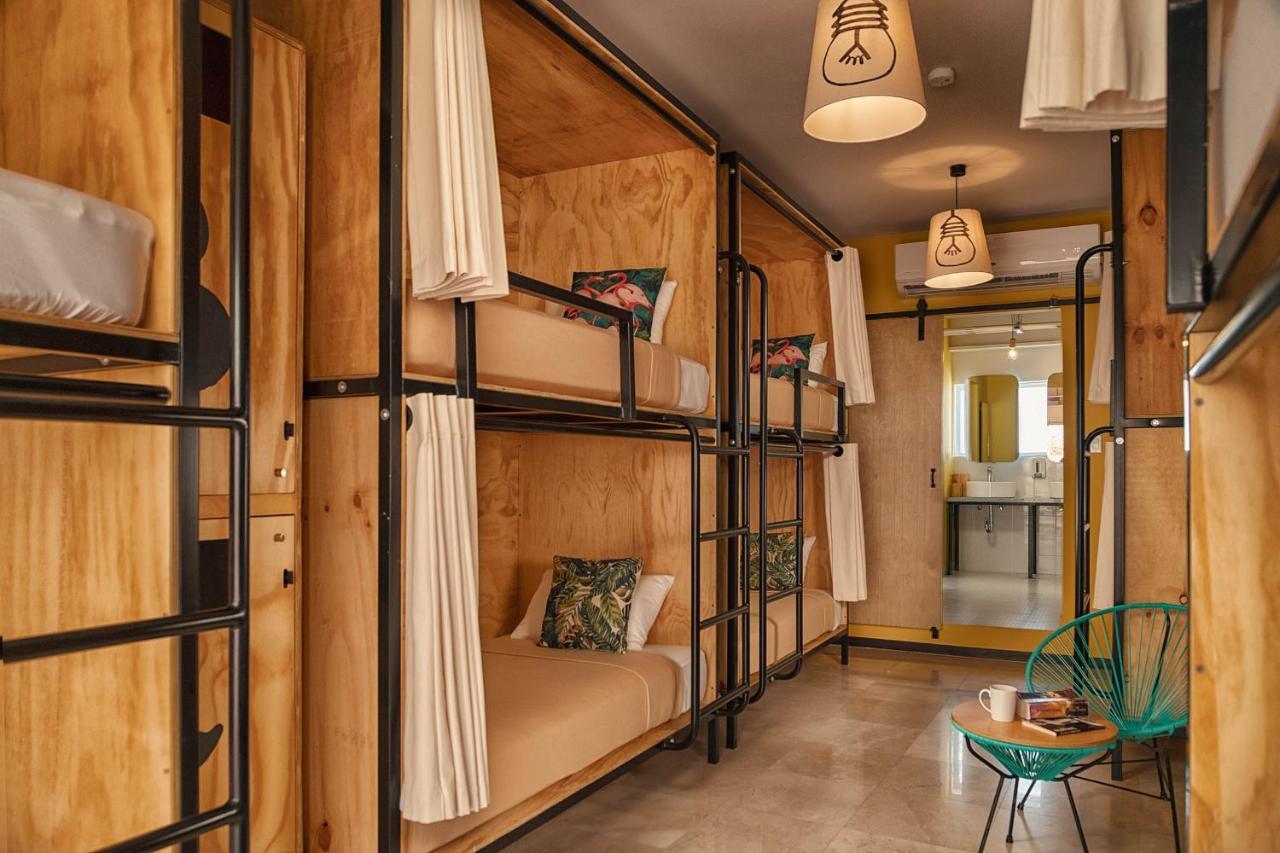 Mayan Monkey Cabos - Social (adults Only)